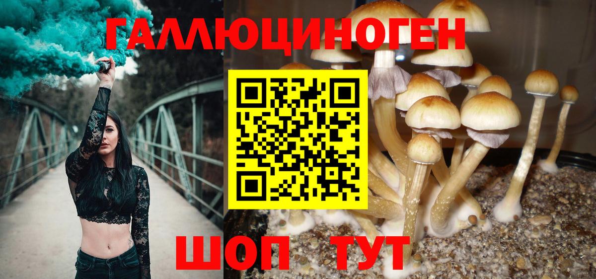 Псилоцибиновые грибы ЛСД  Вход с VPN  Стерлитамак 